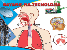 Sayansi Na Teknolojia Notes Darasa la Saba 7